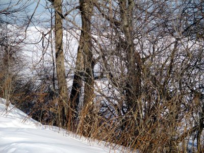 03 Lakefront at Durand Eastman Park 02.jpg