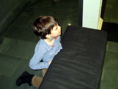 04 Sid patiently waiting for guests to arrive 03.jpg
