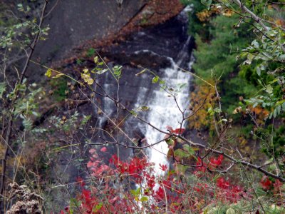 21 Letchworth Park, 18 October