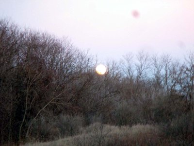 01 Moonrise at Dryer Road Park 01.jpg