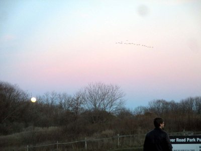 02 Moonrise at Dryer Road Park 02.jpg