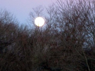 03 Moonrise at Dryer Road Park 03.jpg