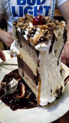 10 Dylan's free birthday ice-cream cake from Champps, 8 May.jpg