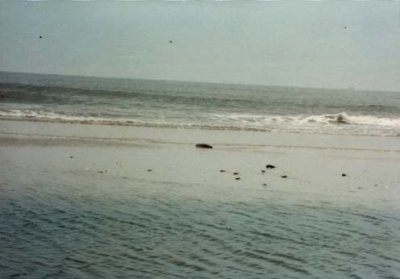 06 The surf.jpg