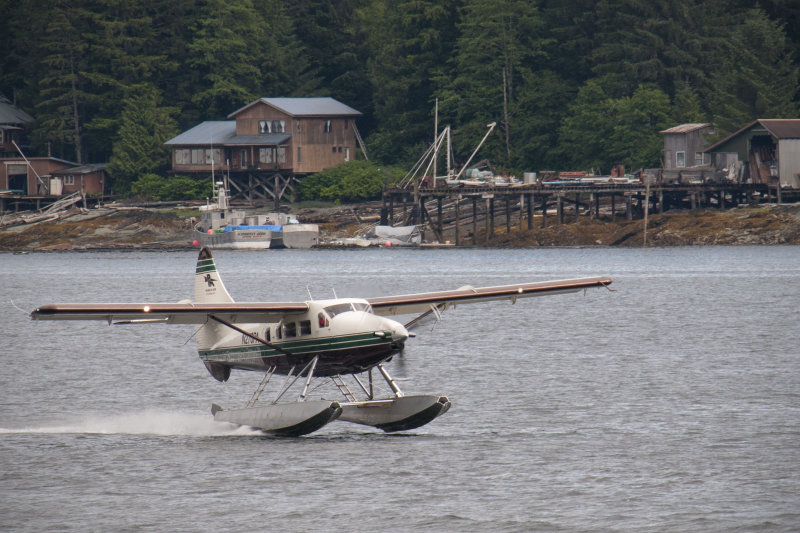 20150611_7709.jpg
