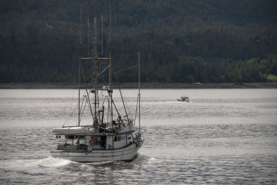 20150611_7538.jpg