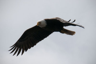 20150611_7592.jpg