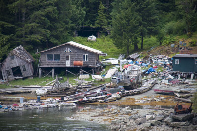 20150611_8063.jpg
