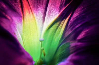 abstract-6.jpg