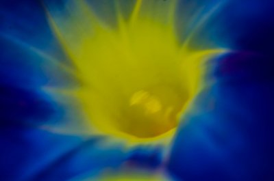 abstract-7.jpg