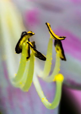 abstract-8.jpg