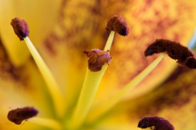 abstract-10.jpg