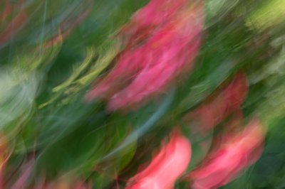 abstract-11.jpg