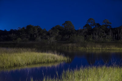 Marsh at Night