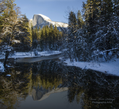 Yosemite - Half Dome Reflection