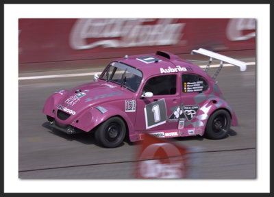 Beetle.jpg