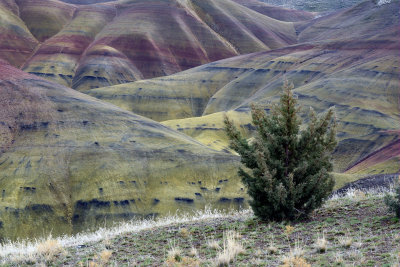 Painted Hills  