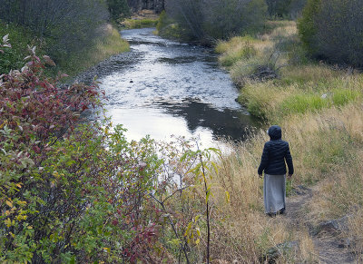 Blitzen River