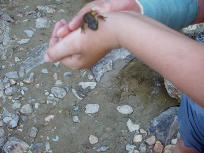 P1010012.jpg