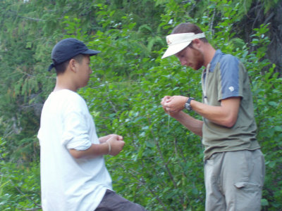 P1010015.jpg