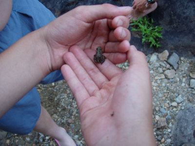 P1010020.jpg