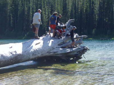 P1010066.jpg