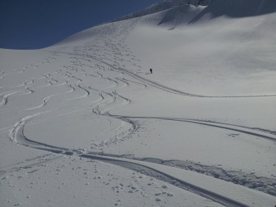 20150408_150710.jpg