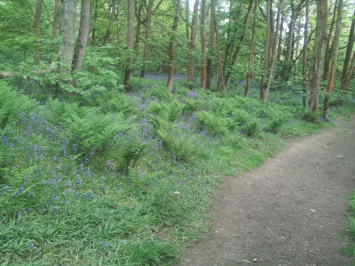 20150525_153738.jpg