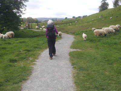 20150526_155945.jpg