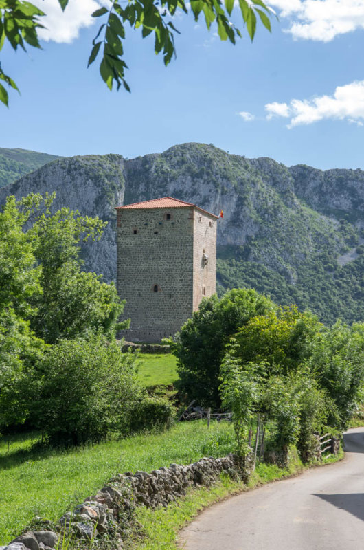 Torre de Rubn de Celis