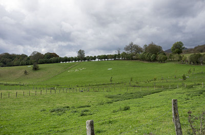 Entorno de Roncesvalles