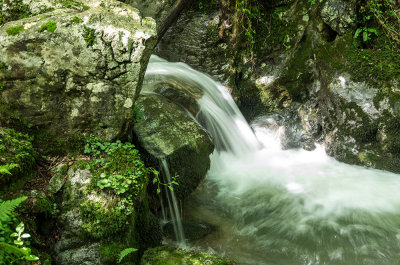 Arroyo de Las Xanas