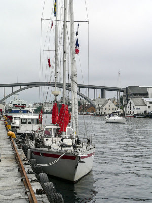 g9/68/199268/3/155890063.veYBUXIL.jpg