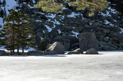 Laguna Negra helada