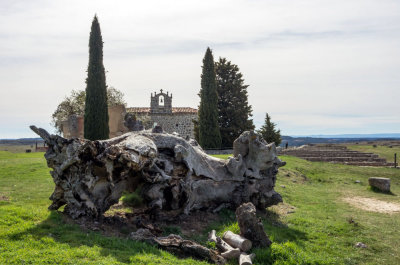 Ciudad Romana de Clunia