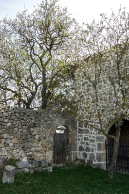 Ciudad Romana de Clunia