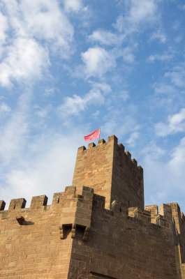 Torren y bandera del Castillo Javier