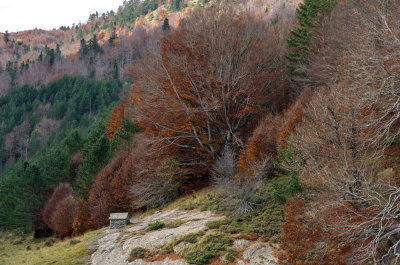 Carretera de Liza a Zuriza