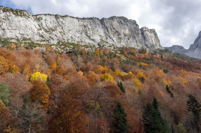 Carretera de Zuriza a Ans