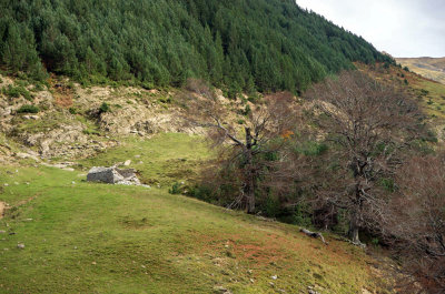 Llano de Tacheras