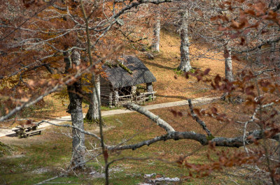 Refugio de Linza