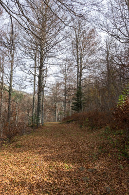 Refugio de Linza