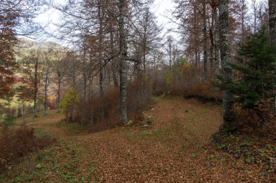 Refugio de Linza