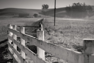 Whitewashed Fence, Tomales