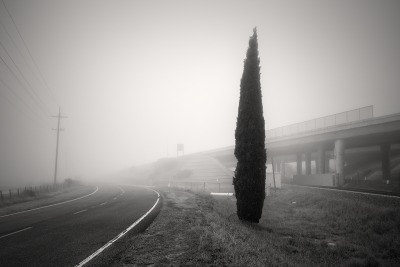 Binford Road, Novato