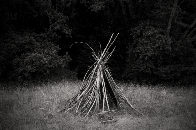 Stacked Branches, San Geronimo