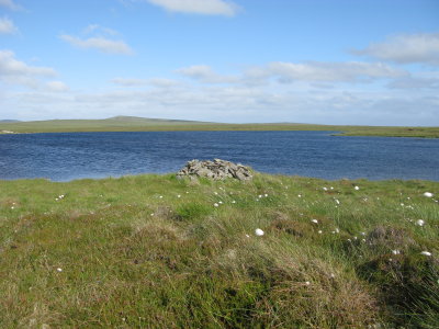 The sheep loch
