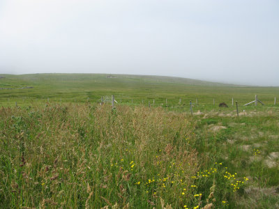 g9/68/250768/3/151314526.F2KQJar6.jpg