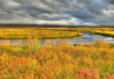 evening sunlight arnol river.jpg
