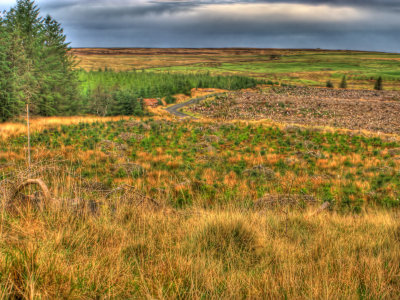 OTT top boundary.jpg